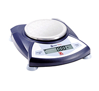 Electronic Scale